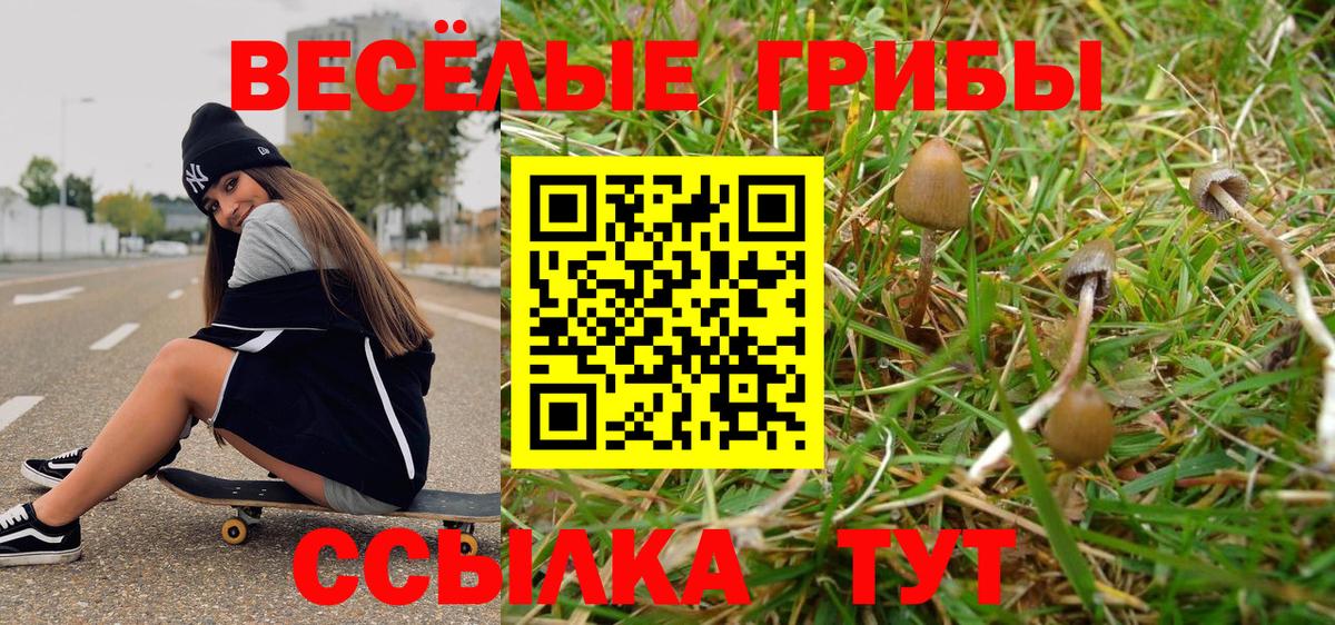 Псилоцибиновые грибы Magic Shrooms Тавда