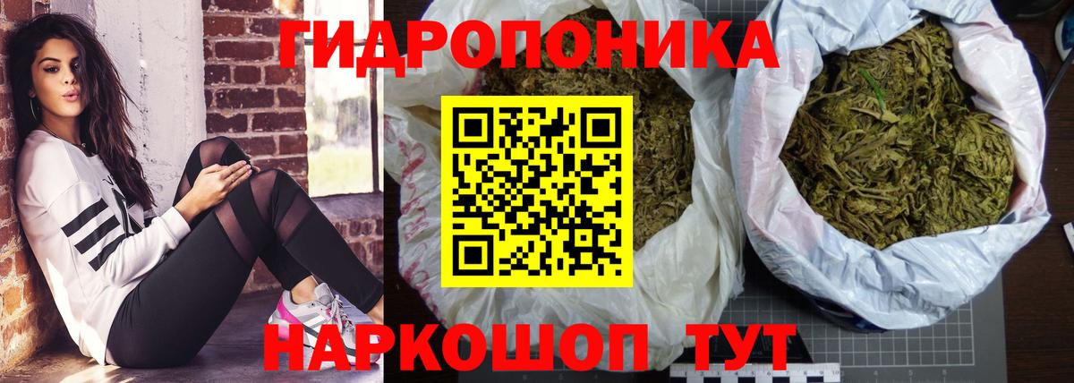 Тавда  Канабис сатива  Конопля план  Конопля LSD WEED  Вход с VPN  Шишки марихуана марихуана 