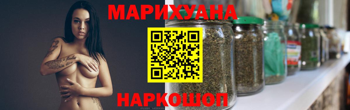 Канабис план Тавда